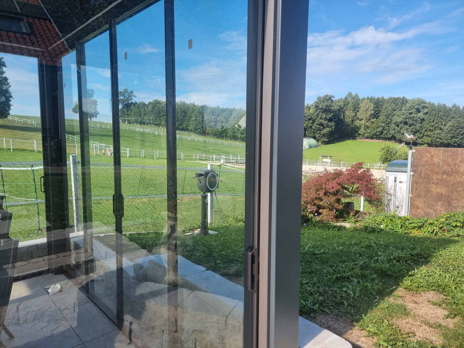 Blick von innen durch die Schiebeverglasung in den Garten